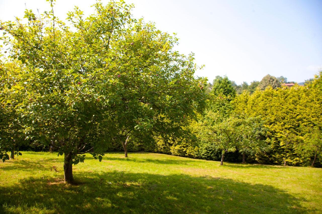 Villa Mercedes Piloña Εξωτερικό φωτογραφία